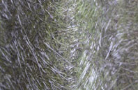 Llanfihangel Glyn Myfyr fibreglass roof work